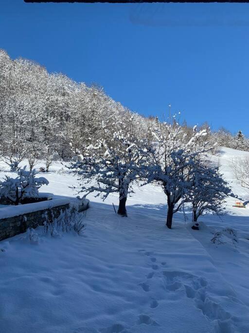 Meribel Chalet De Severine Les Allues Екстер'єр фото